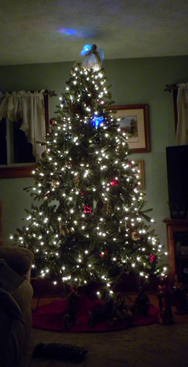 first tree