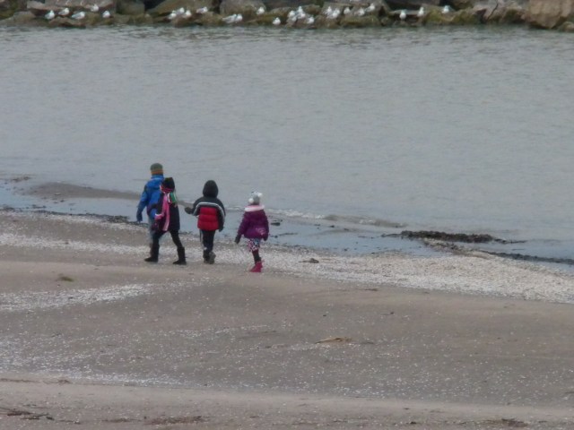 good day at the beach