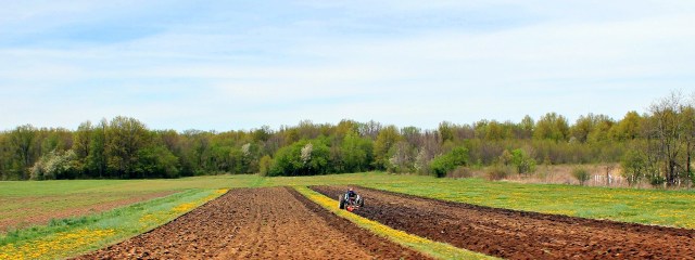 farmer in the field