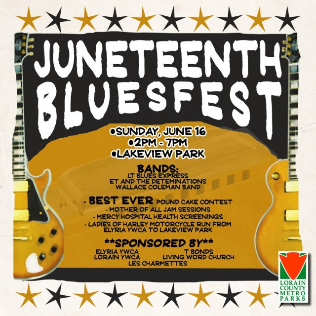 juneteenth bluesfest 061613