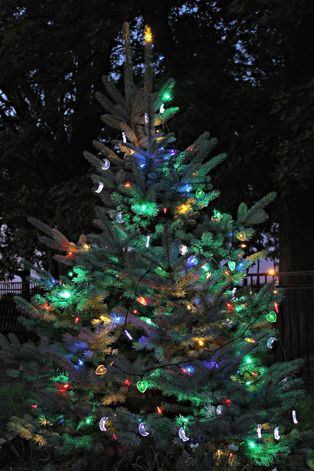 August 2013 Canon 1773-2