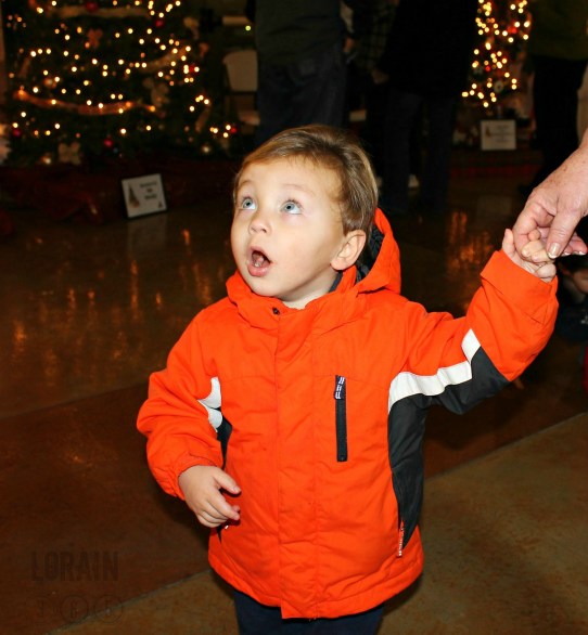 braedyn trains and trees wm