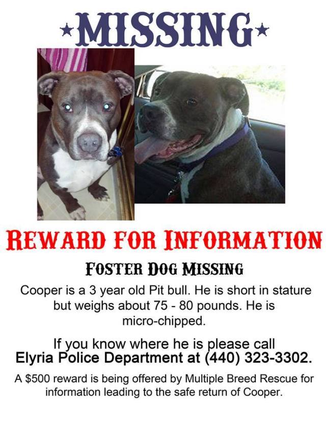cooper missing