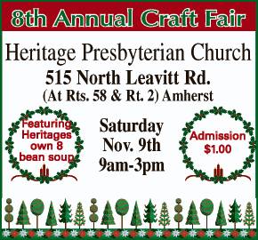 craft fair 110913