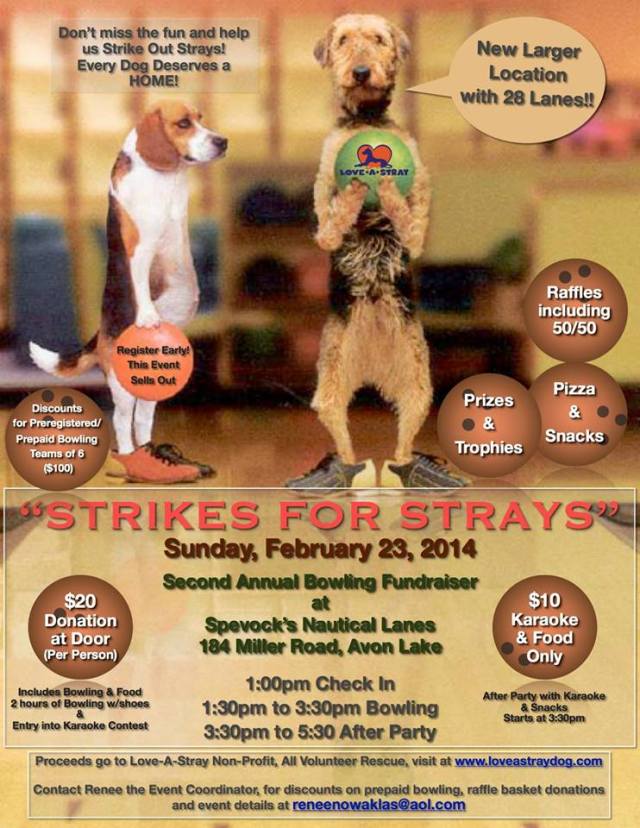 022313 strikes for strays
