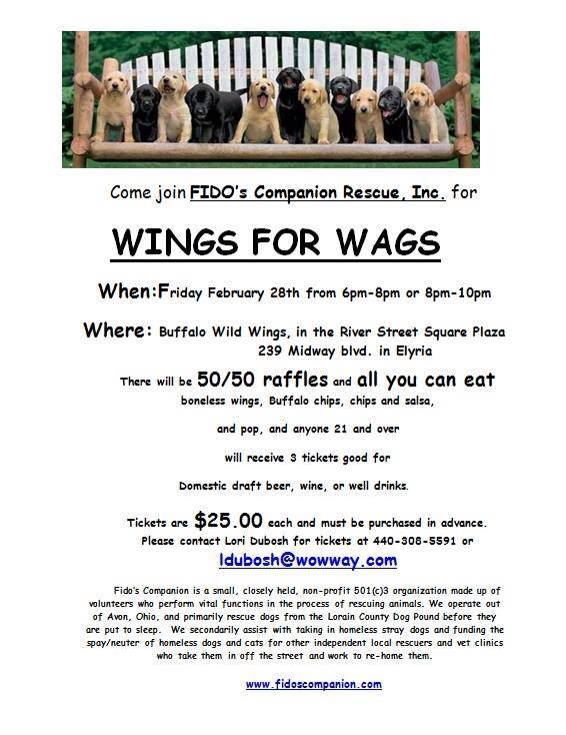 022814 wings for wags