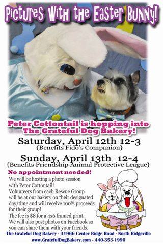 0412-1314 easter bunny at grateful dog