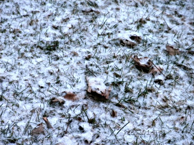 From this morning . . . NO MORE!