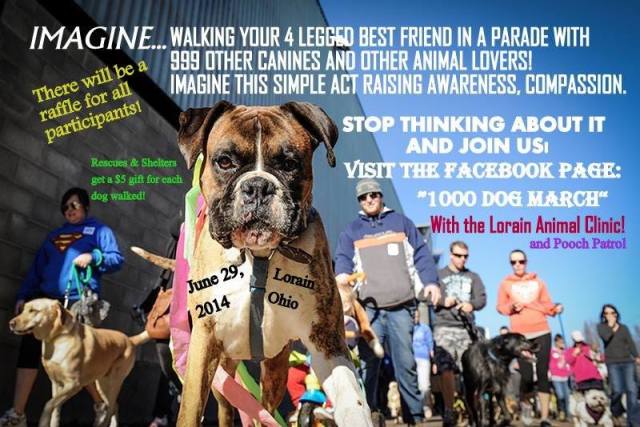 1000 dog march