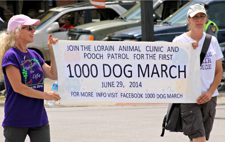 International Parade 2014_00045