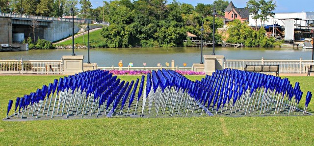 Follow the Fish EcoArt:Water