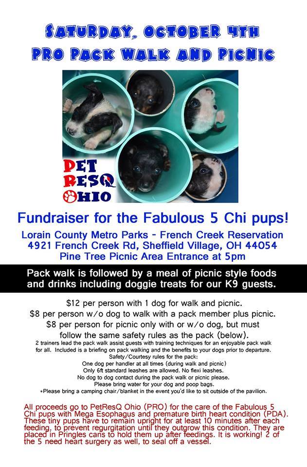 100414 petresq packwalkpicnic