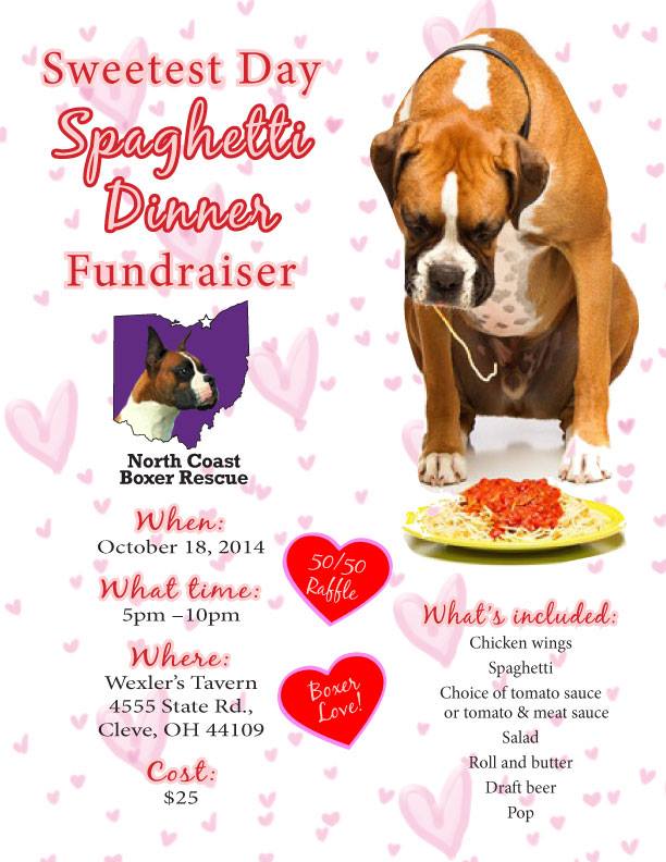 101814 north coast boxer rescue fundraiser