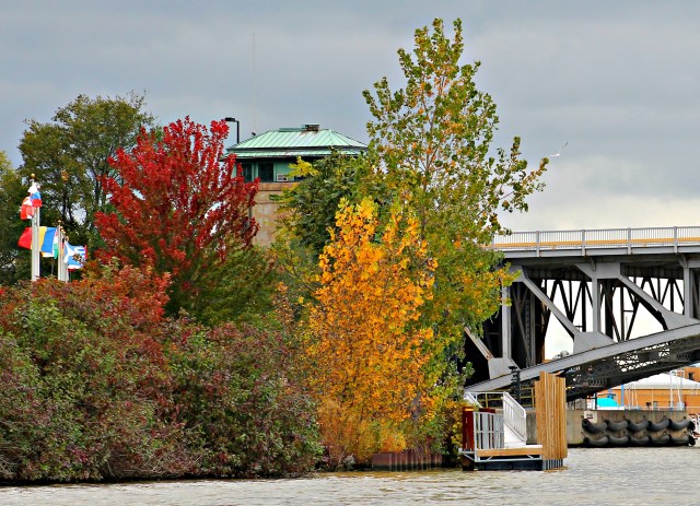 Black River Boat Tour fall foliage 101814-008