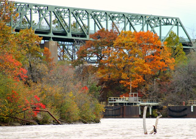 Black River Boat Tour fall foliage 101814-013