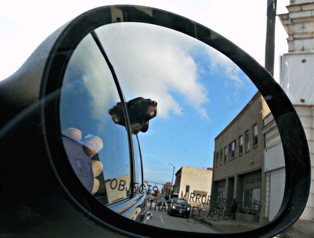 Rudder in the rearview