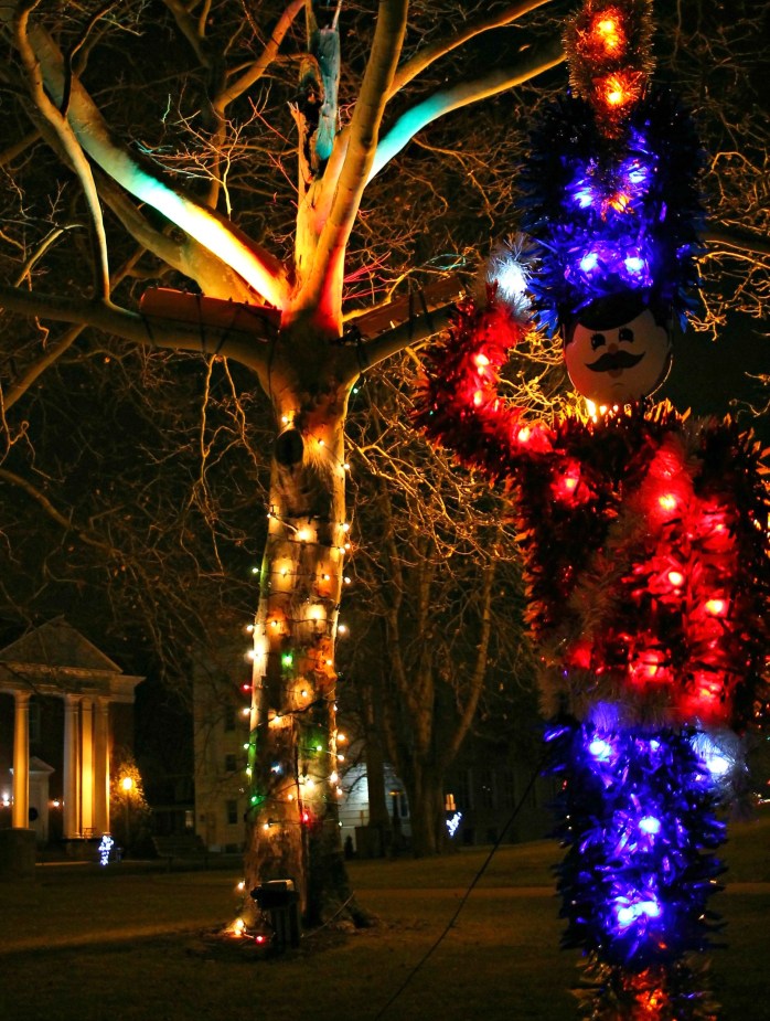 traffic lights in trees 01