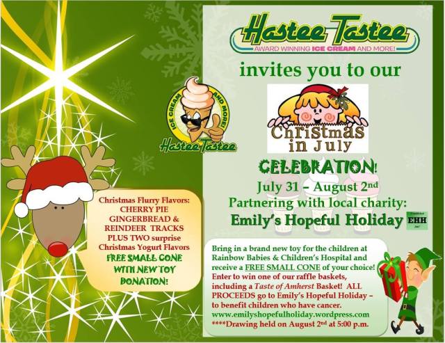 emilys hopeful holiday fundraiser
