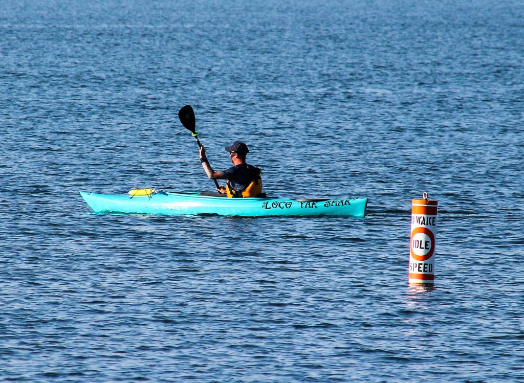 loco yaks monday 01-1