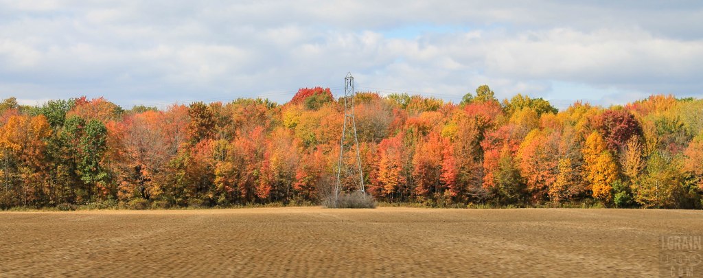 fall farmscape