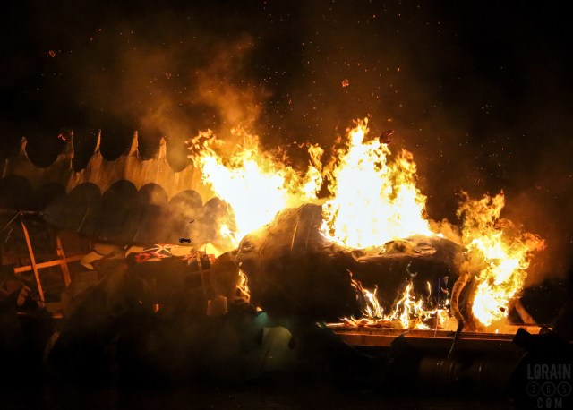 firefish-finale-2016-05a